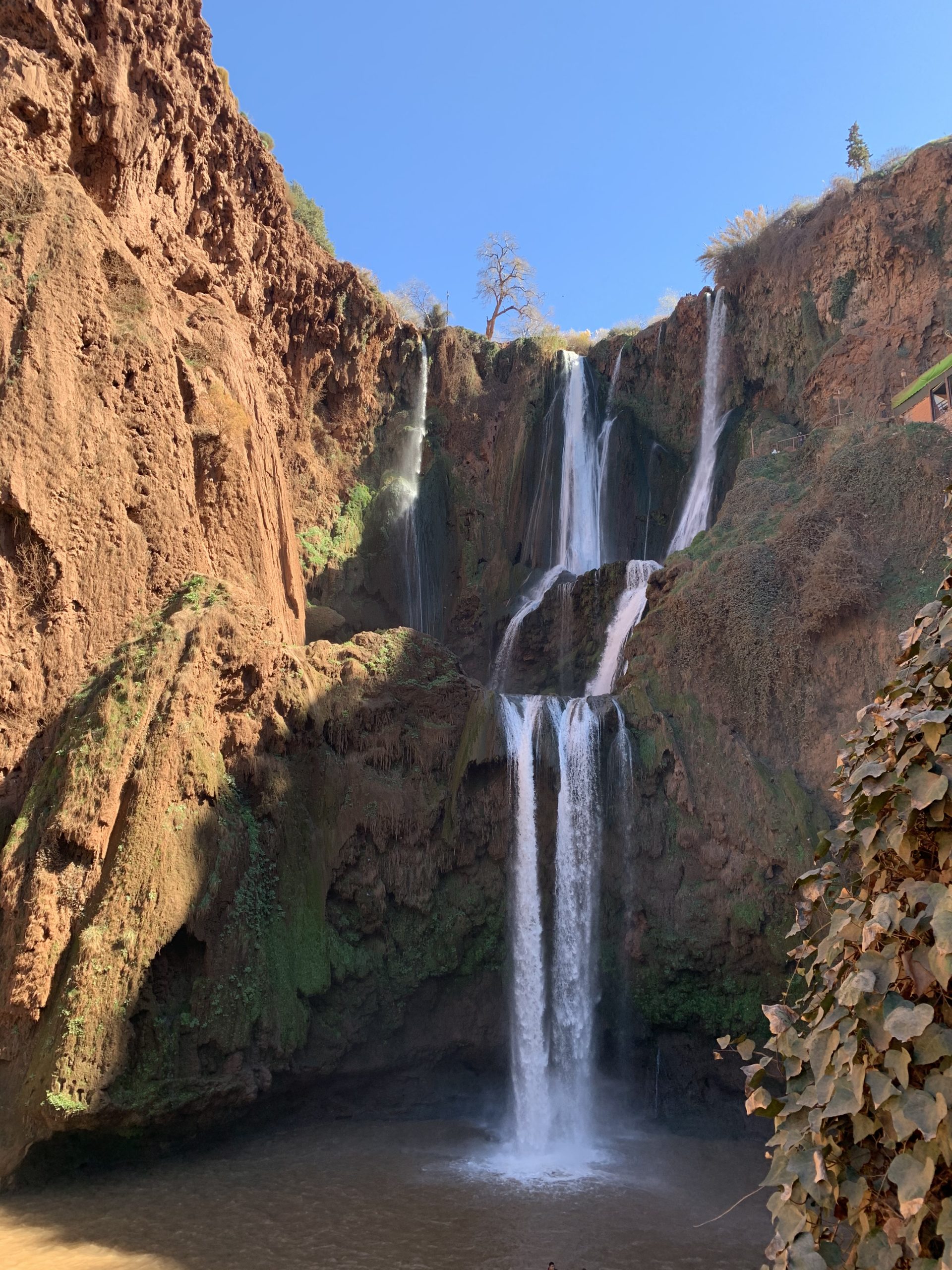 Que faire à Marrakech en février?