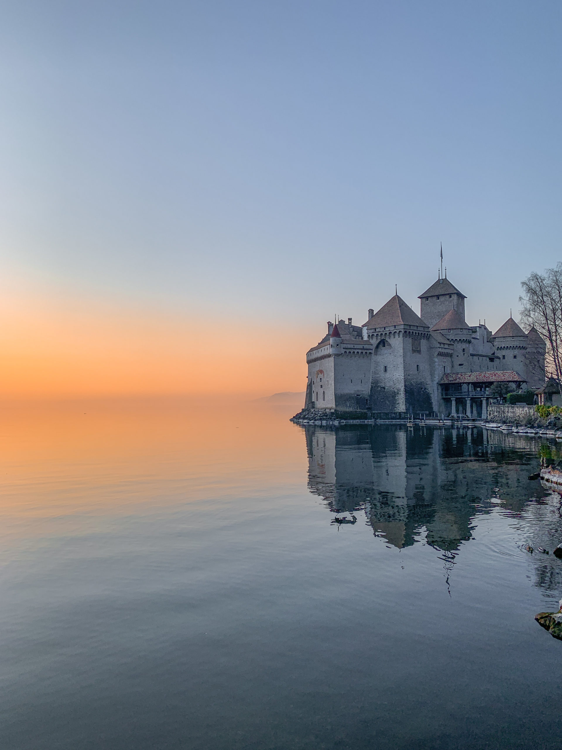 Le Château et le Fort de Chillon
