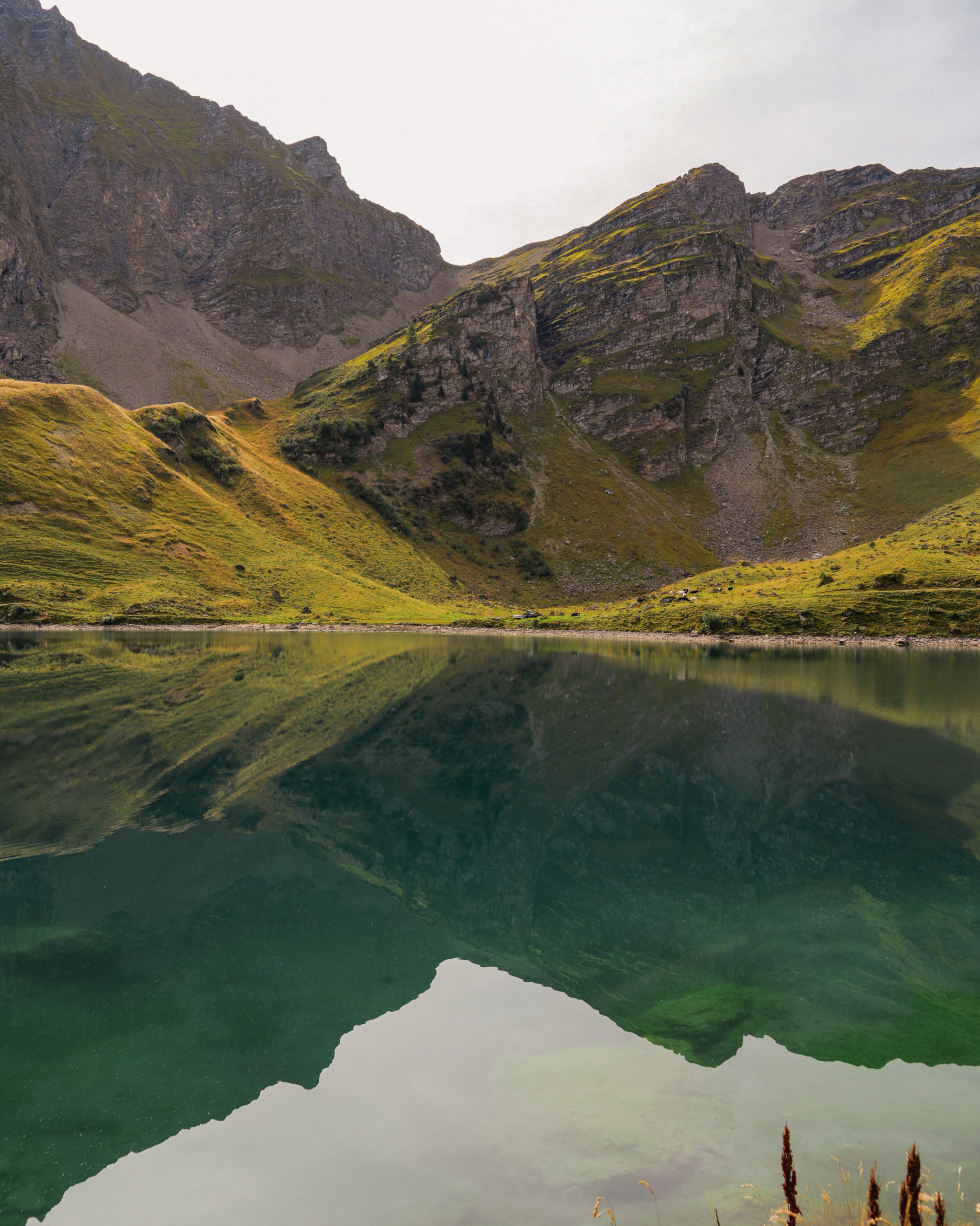 Randonnée facile dans le canton de Vaud: le lac Lioson