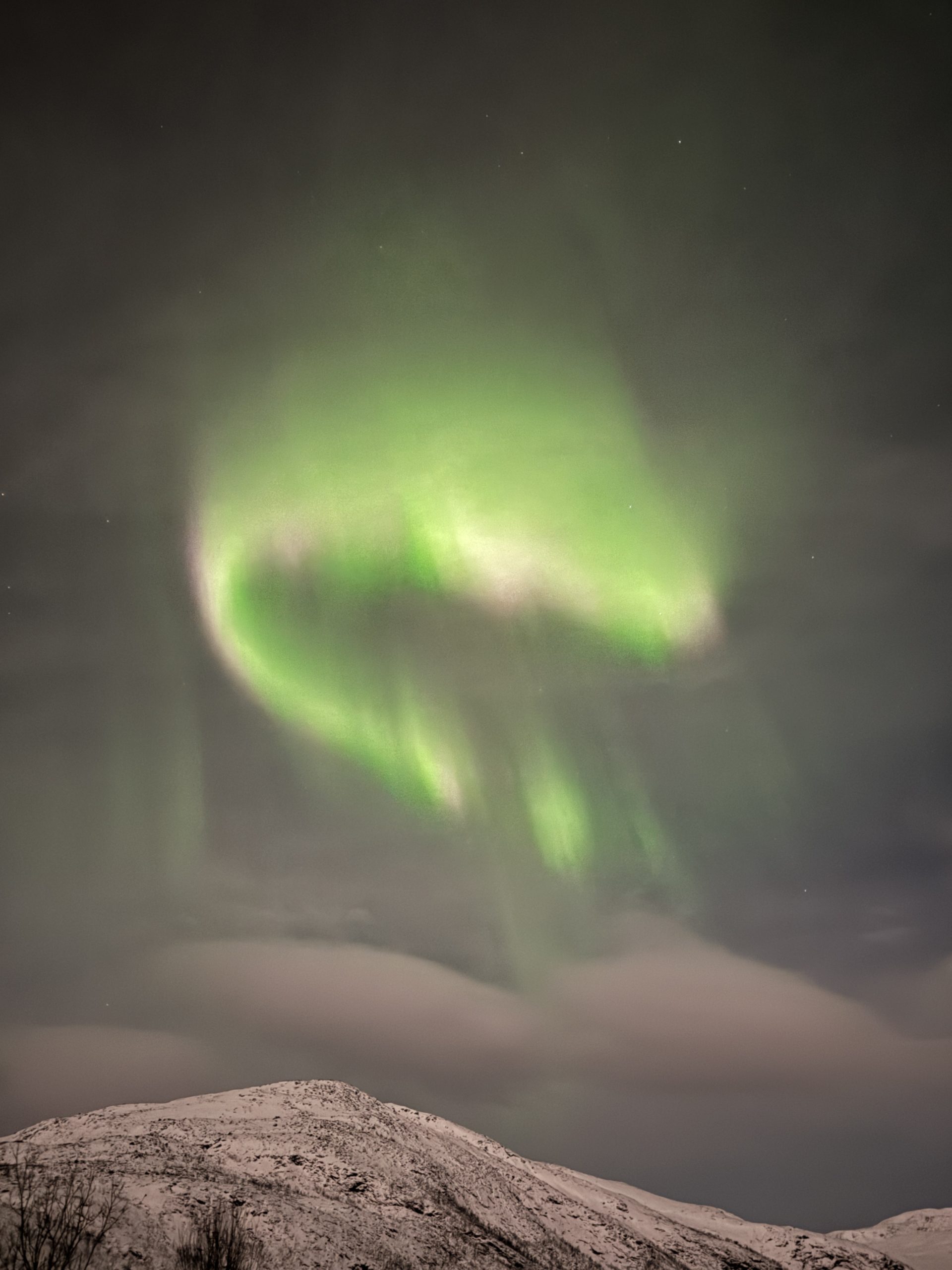 Que faire et que voir à Tromso en Norvège?